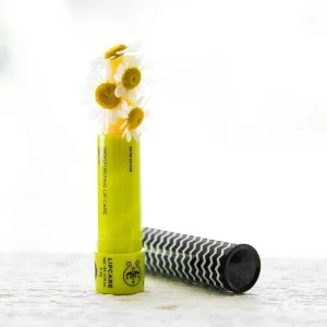 Apivita Labial Chamomile