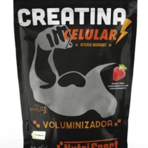 CREATINA 500 GR