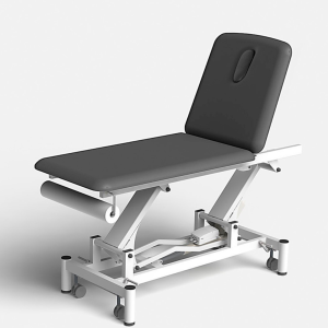 PRO 201: Camilla eléctrica dos cuerpos + portarrollos + mando de control (GRIS)