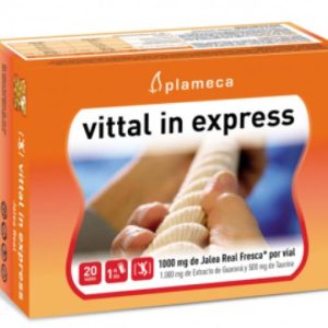 VITTAL IN EXPRES 20 VIALES