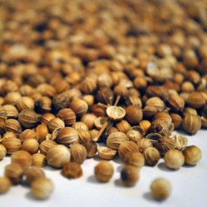 Cilantro, Grano (Coriandrum sativum)
