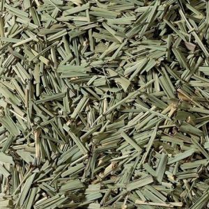 Citronela o Lemongrass, Planta Trit.  (Cymbopogon citratus)