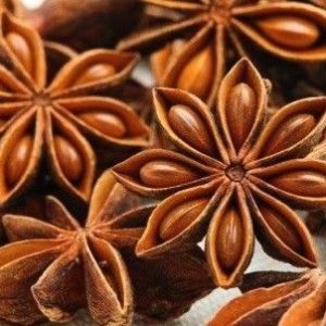 Anís Estrellado (Illicium verum)